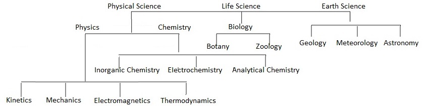 different-branches-of-science-bengalstudents